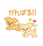 とことこちびトイプードル（個別スタンプ：31）