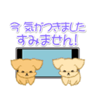 とことこちびトイプードル（個別スタンプ：34）