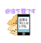 とことこちびトイプードル（個別スタンプ：36）