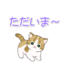 まんまるチビ猫たちの毎日（個別スタンプ：3）