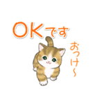 まんまるチビ猫たちの毎日（個別スタンプ：10）
