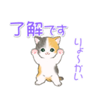 まんまるチビ猫たちの毎日（個別スタンプ：11）