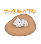 まんまるチビ猫たちの毎日（個別スタンプ：14）
