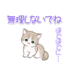 まんまるチビ猫たちの毎日（個別スタンプ：15）