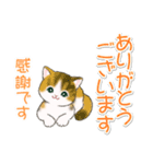 まんまるチビ猫たちの毎日（個別スタンプ：17）