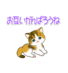 まんまるチビ猫たちの毎日（個別スタンプ：23）