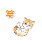 まんまるチビ猫たちの毎日（個別スタンプ：31）