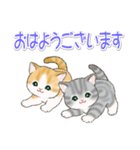 まんまるチビ猫たちの毎日（個別スタンプ：33）