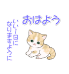 まんまるチビ猫たちの毎日（個別スタンプ：34）