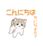まんまるチビ猫たちの毎日（個別スタンプ：35）