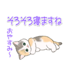 まんまるチビ猫たちの毎日（個別スタンプ：37）