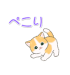 まんまるチビ猫たちの毎日（個別スタンプ：40）