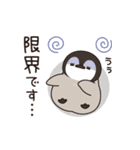 飛び出す♪ほのぼの子ペンギン3（個別スタンプ：20）