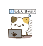 毎日五月病なねこたち6（個別スタンプ：27）