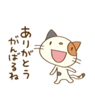 前向き☆猫のミーニャ（個別スタンプ：22）