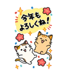 毎年使えるお正月！大人かわいいネコ(再販)（個別スタンプ：4）