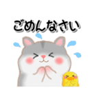 ハムスター「ハムたん」5（個別スタンプ：10）