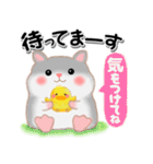ハムスター「ハムたん」5（個別スタンプ：30）