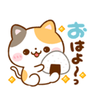 飛び出す♡毎日使える♪ねこねこにゃんこ（個別スタンプ：5）