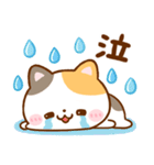 飛び出す♡毎日使える♪ねこねこにゃんこ（個別スタンプ：20）