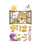 【Big】ちゃちゃ丸 19『梅雨』（個別スタンプ：1）