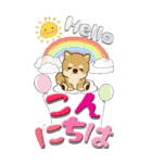 【Big】ちゃちゃ丸 19『梅雨』（個別スタンプ：2）