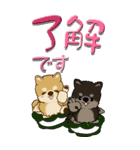【Big】ちゃちゃ丸 19『梅雨』（個別スタンプ：8）