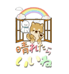 【Big】ちゃちゃ丸 19『梅雨』（個別スタンプ：13）