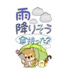 【Big】ちゃちゃ丸 19『梅雨』（個別スタンプ：17）