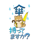 【Big】ちゃちゃ丸 19『梅雨』（個別スタンプ：18）