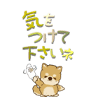 【Big】ちゃちゃ丸 19『梅雨』（個別スタンプ：19）