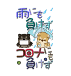 【Big】ちゃちゃ丸 19『梅雨』（個別スタンプ：21）