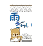 【Big】ちゃちゃ丸 19『梅雨』（個別スタンプ：22）