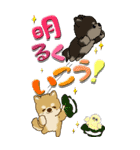 【Big】ちゃちゃ丸 19『梅雨』（個別スタンプ：23）