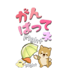 【Big】ちゃちゃ丸 19『梅雨』（個別スタンプ：24）