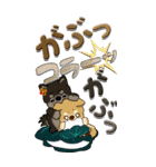 【Big】ちゃちゃ丸 19『梅雨』（個別スタンプ：30）