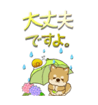 【Big】ちゃちゃ丸 19『梅雨』（個別スタンプ：35）