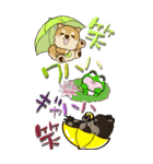 【Big】ちゃちゃ丸 19『梅雨』（個別スタンプ：39）