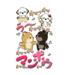 【Big】ちゃちゃ丸 19『梅雨』（個別スタンプ：40）