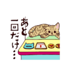 クレーンゲームな猫たちのスタンプ（個別スタンプ：17）
