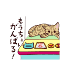 クレーンゲームな猫たちのスタンプ（個別スタンプ：18）