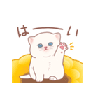 むちにゃんこ☆飛び出すスタンプ（個別スタンプ：7）