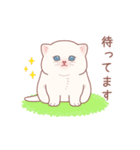 むちにゃんこ☆飛び出すスタンプ（個別スタンプ：17）