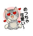 ラブリー猫さん ♡ ほのぼの関西弁（個別スタンプ：17）