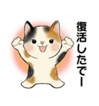 ラブリー猫さん ♡ ほのぼの関西弁（個別スタンプ：29）