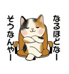 ラブリー猫さん ♡ ほのぼの関西弁（個別スタンプ：35）