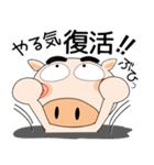 明日も、ブタさん（個別スタンプ：39）