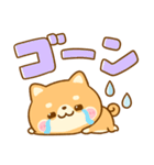 使いやすい♪豆柴日和（個別スタンプ：33）