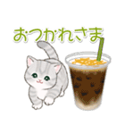 気持ち伝える まんまるチビ猫たち（個別スタンプ：1）