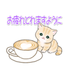 気持ち伝える まんまるチビ猫たち（個別スタンプ：3）